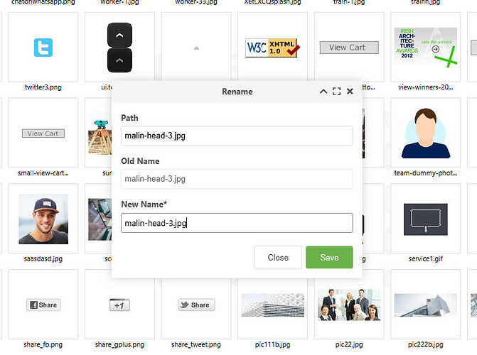 working media browser - rename file